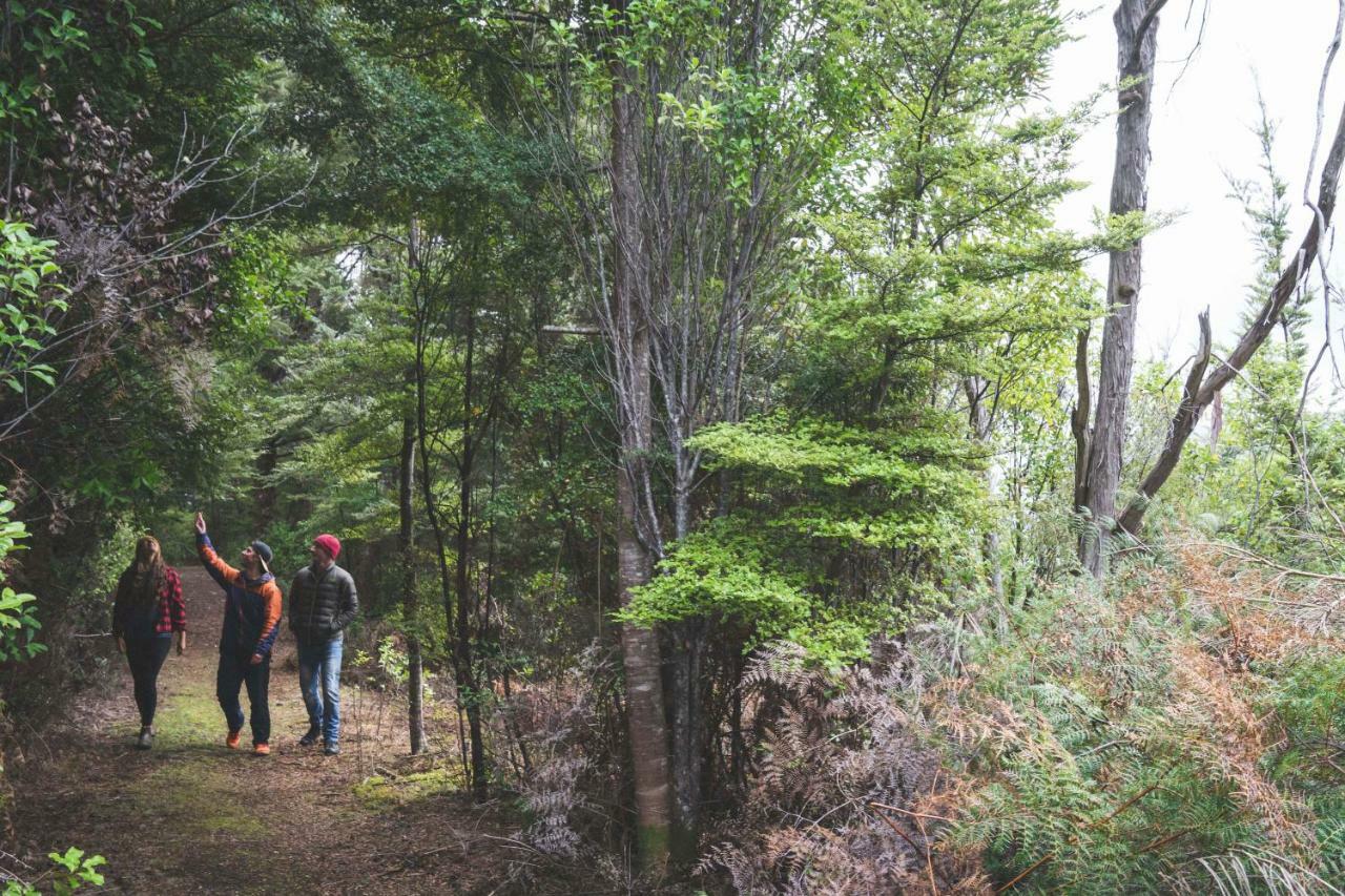 Fiordland National Park Lodge Te Anau Downs Exteriér fotografie